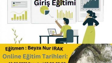 POWER BI ile İş Zekası ve Raporlamaya Giriş Eğitimi